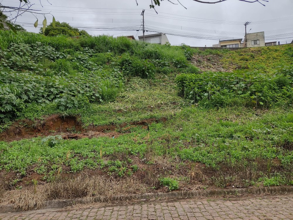 Terreno - Venda - Vila Junqueira - Atibaia - SP